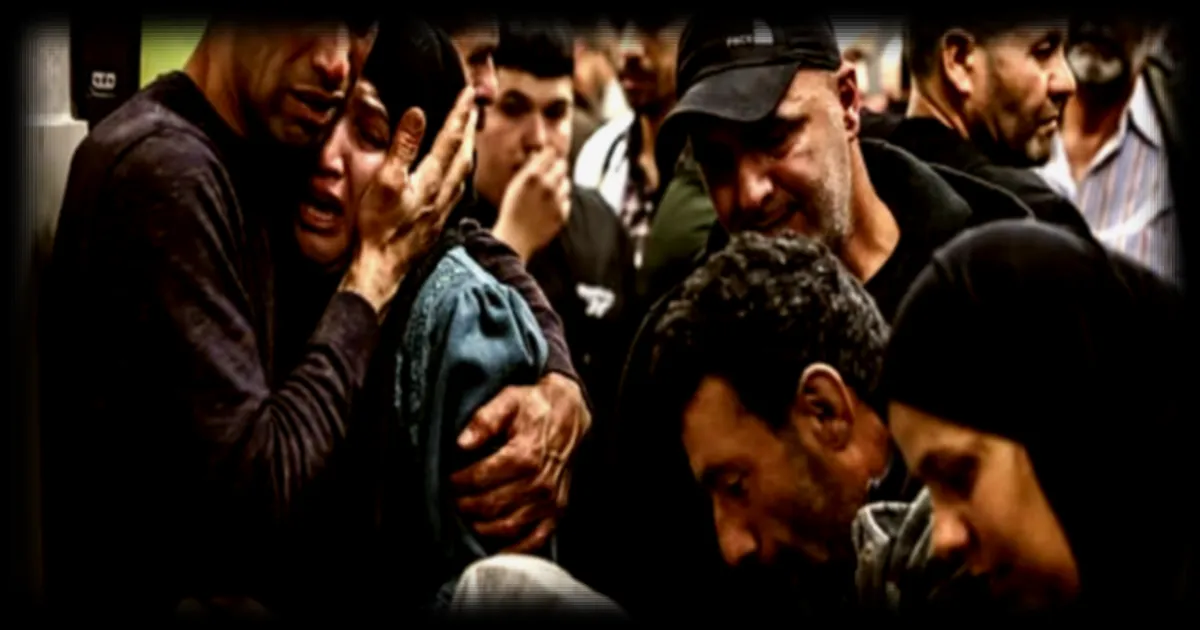 Camps surpeuplés de Gaza : prolifération de rats et parasites, risque sanitaire imminent