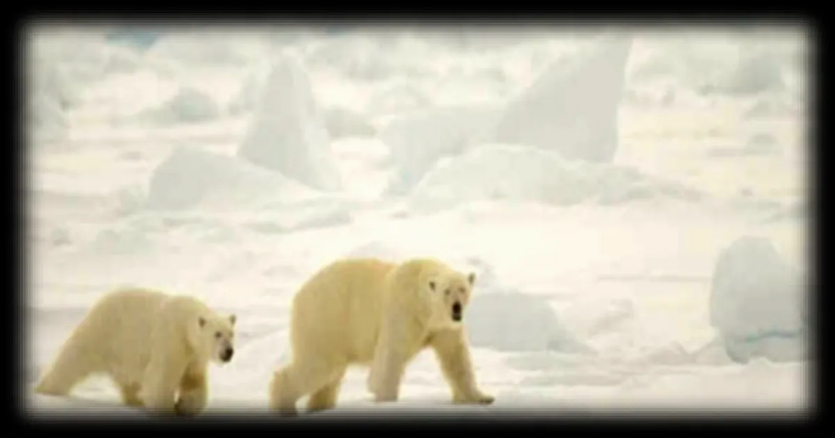 Canada : 3,8 milliards de dollars pour protéger 30 % des terres et eaux d’ici 2030