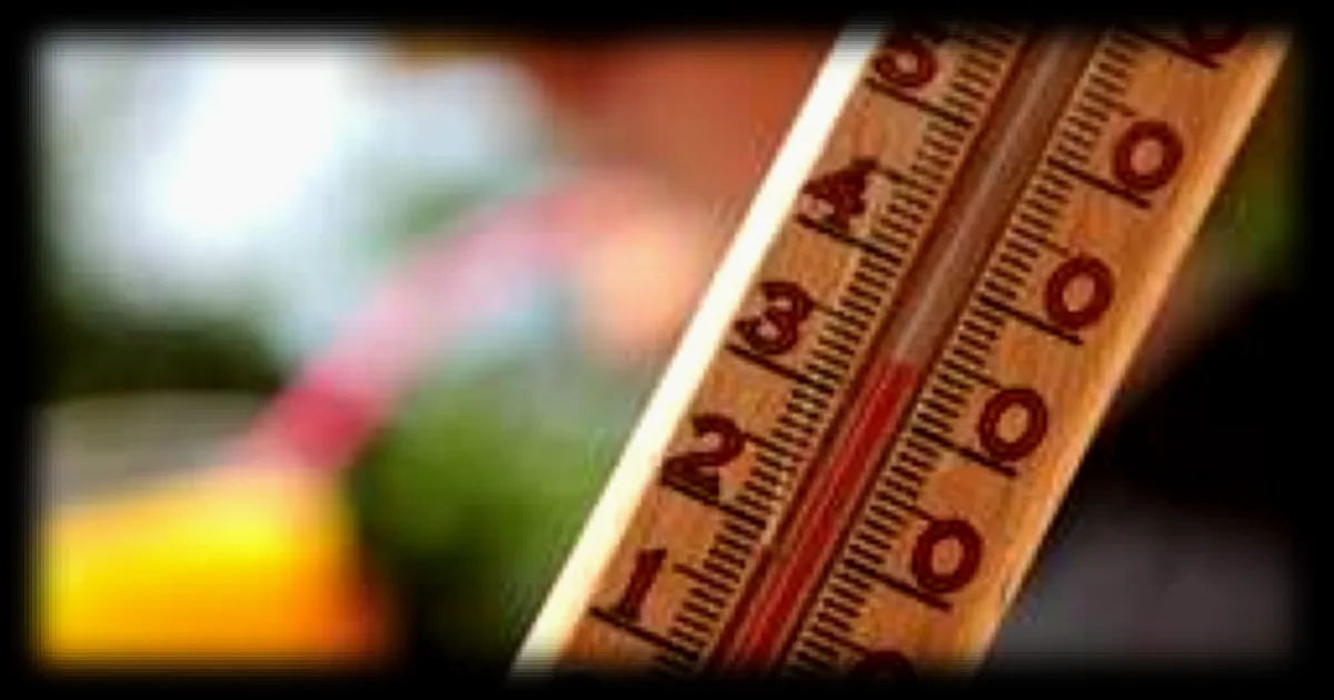 Canicule en Maine-et-Loire : de nouveaux records de chaleur battus et une hausse des températures attendue jusqu’à vendredi