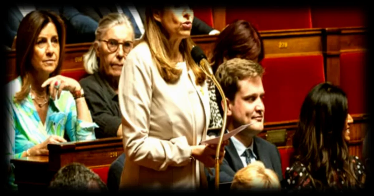 Caroline Yadan, la députée controversée qui défend la lutte contre l'antisémitisme