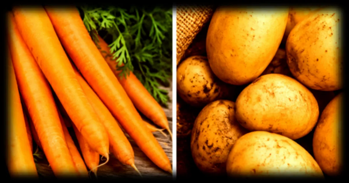 Carottes et pommes de terre : ce qu'il faut savoir sur leur impact sur la glycémie selon les experts
