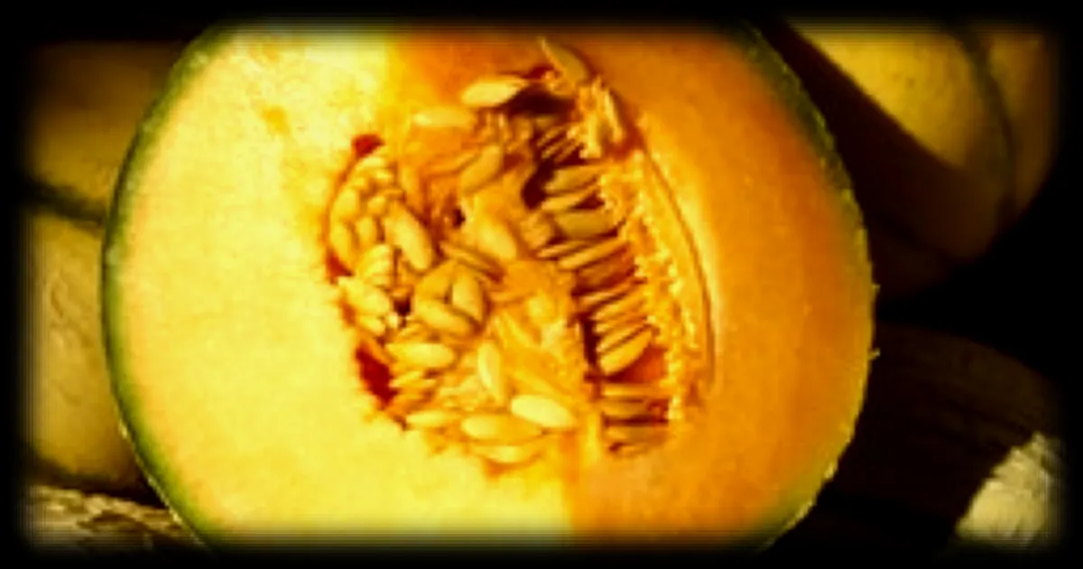 Carrefour rappelle des melons du Haut-Poitou pour exces de cadmium