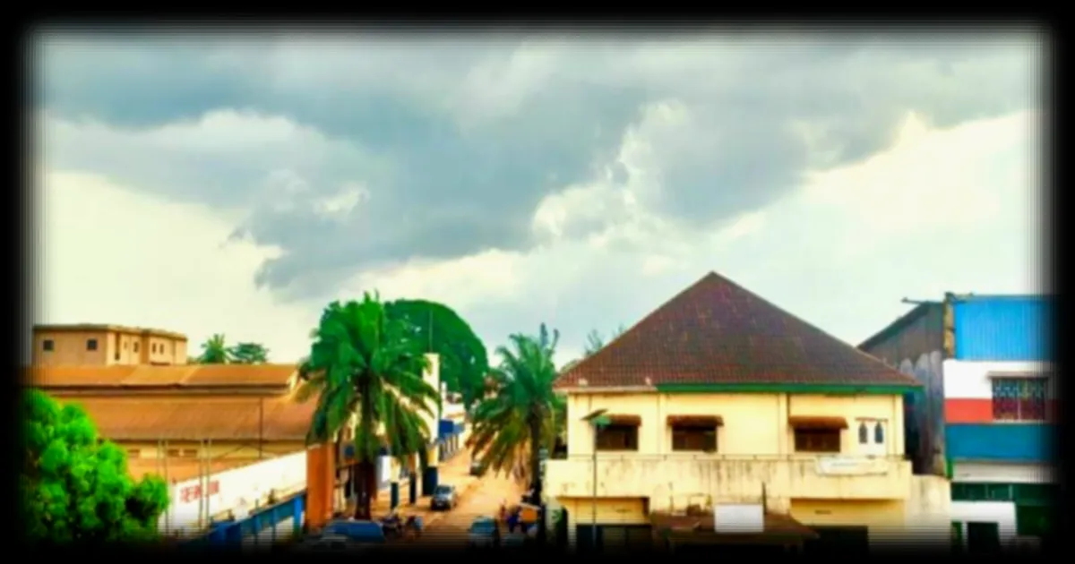 Centrafrique : des associations de défense des femmes outrées par les propos du fils d’un ministre sur les hôtesses d’investiture