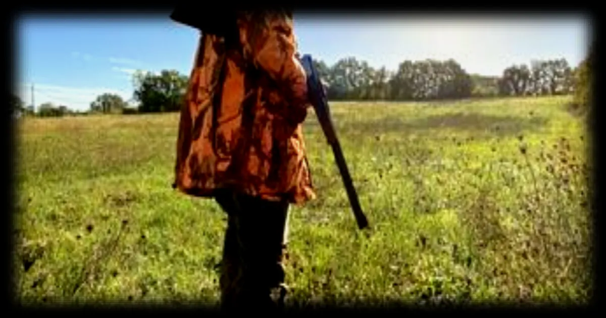 Chasseur condamné pour avoir tiré sur un ami pensant que c'était un sanglier