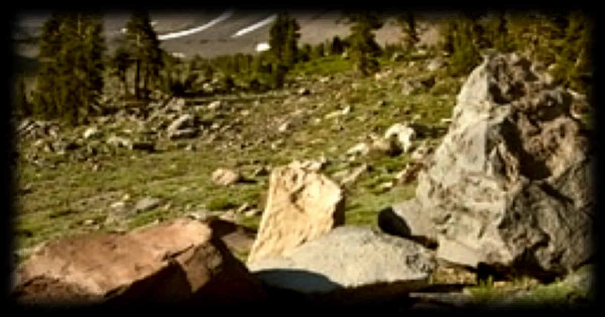 Chute vertigineuse de 400 mètres : une alpiniste sauvée par un miracle médical en Californie