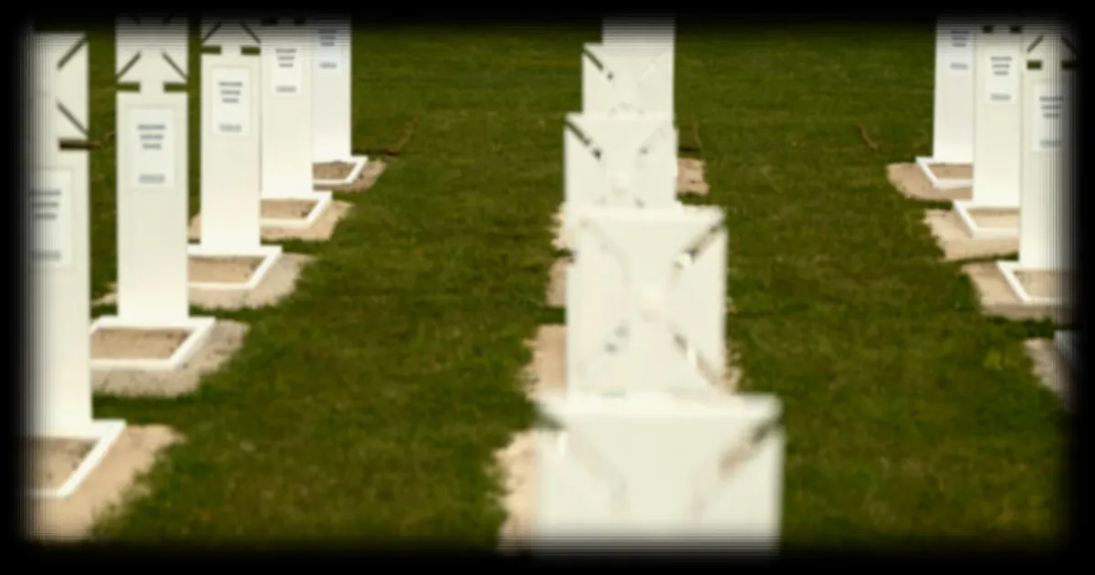Cimetière militaire ukrainien : une controverse persistante après l'annulation par la justice