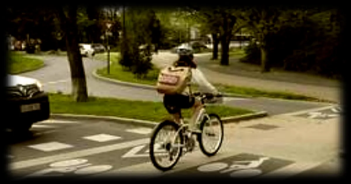 Cinq choses essentielles à savoir pour mieux partager la route entre vélos, voitures, trottoirs et panneaux