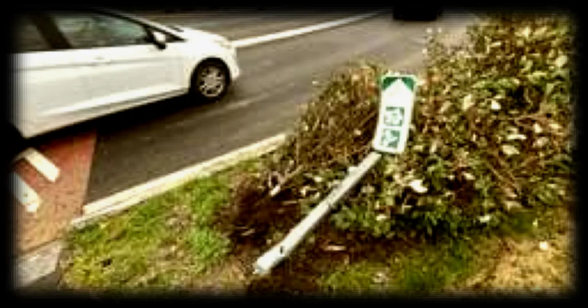 Cinq piétons fauchés à Vannes : l'automobiliste prend la fuite