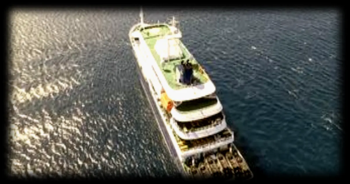 Cinq ressortissants français identifiés à bord du navire de croisière suspecté de cas d'hantavirus, annonce le ministère de la Santé