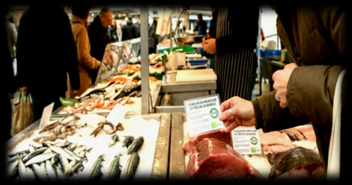 Comment choisir du poisson sans métaux lourds : Les conseils des experts en santé