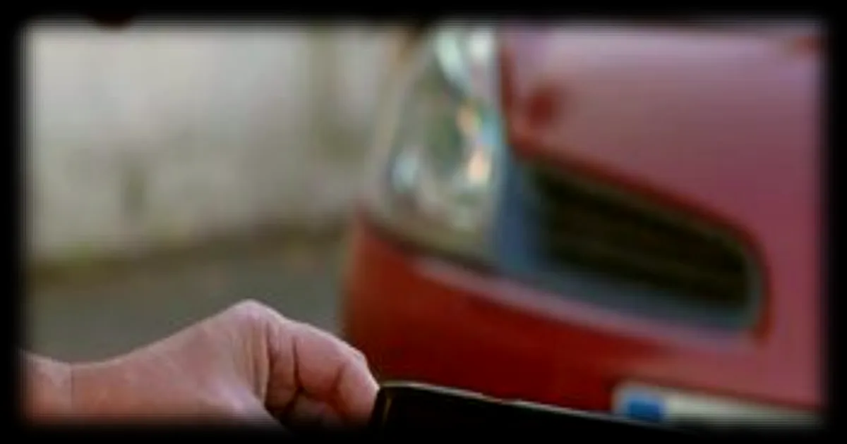 Comment contribuer à mesurer le déclin des insectes avec votre plaque d'immatriculation