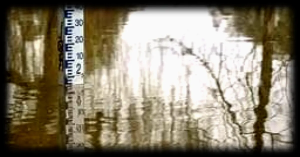 Comment est mesuré le niveau d'une crue lors des inondations en France