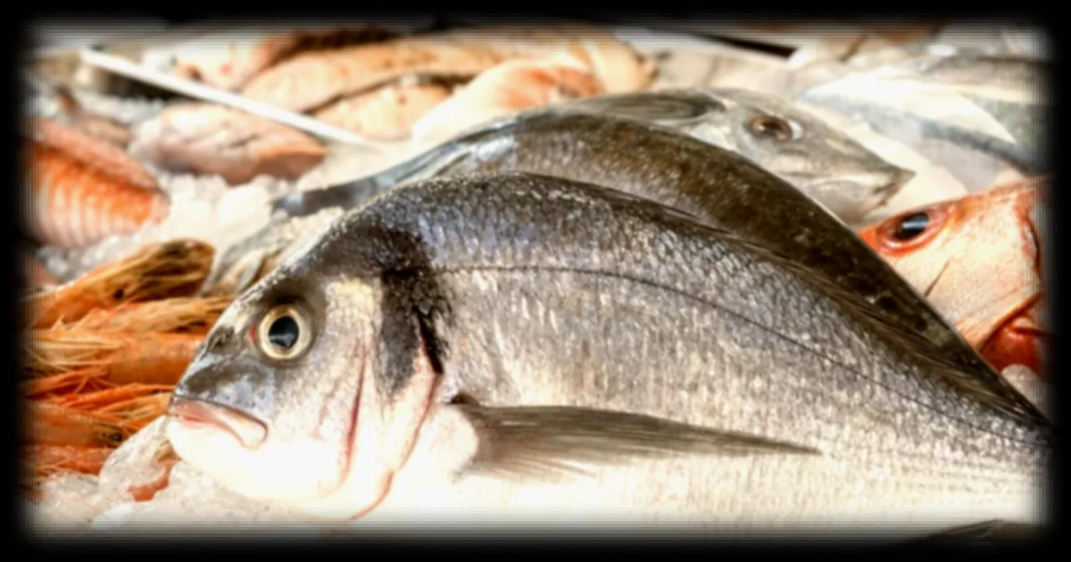 Comment reconnaître un poisson vraiment frais ? La méthode d'un chef étoilé mise au jour