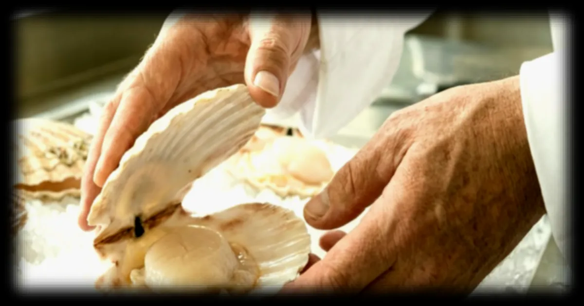 Comment reconnaitre une Saint-Jacques impropres a la consommation : les conseils d'un chef normand