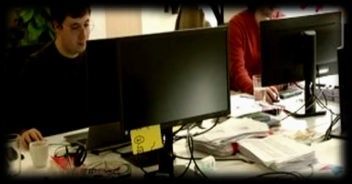 Comment sont élaborés les sondages politiques ? Décryptage par France 2