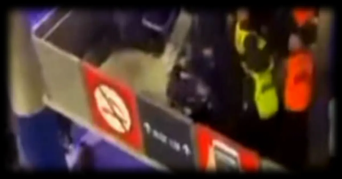 Comparution reportée de cinq supporters lyonnais suite à des échauffourées après OL-PSG en novembre