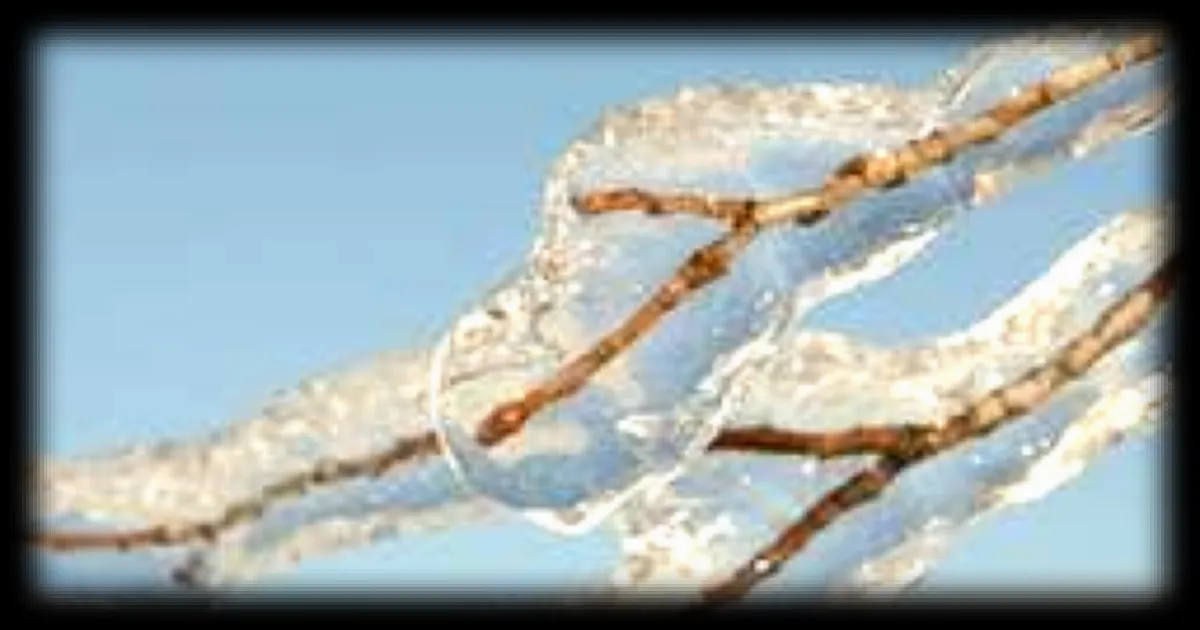 Comprendre les phénomènes météorologiques hivernaux : pourquoi pleut-il parfois sous les 0°C et neige-t-il parfois malgré des températures positives ?