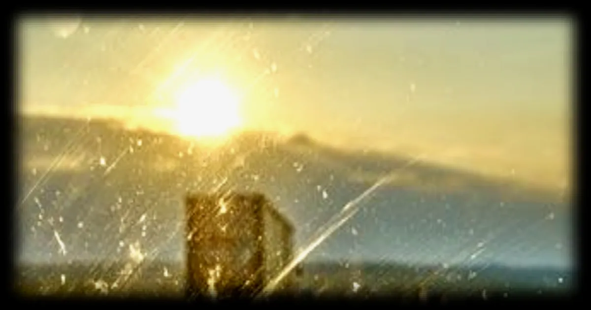 Compter les insectes sur sa voiture pour mesurer leur déclin : un programme participatif lancé par le Muséum national d'histoire naturelle