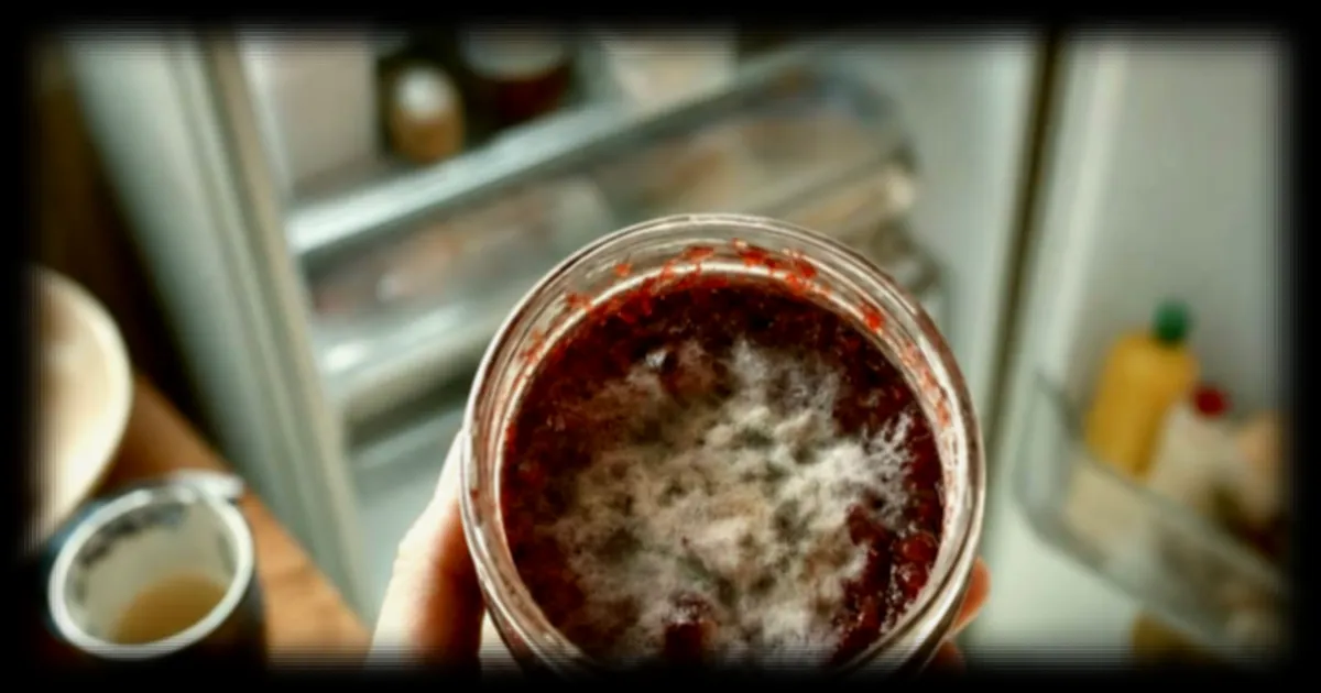 Confiture maison : l’erreur courante qui accélère son moisissement