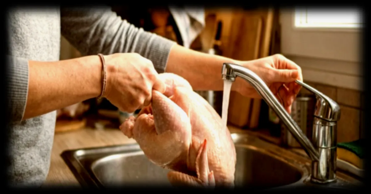 Congelation de poulet : pourquoi les bouchers deconseillent de le rincer avant