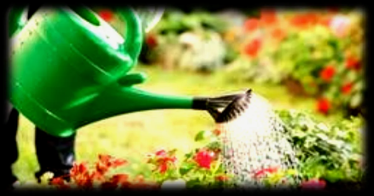 Conseils pour prendre soin de votre jardin lors de coups de chaud
