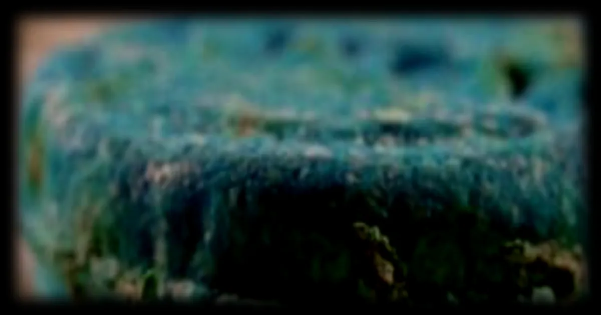 Cosmétiques sans eau : une révolution écologique ou un simple effet de mode ?