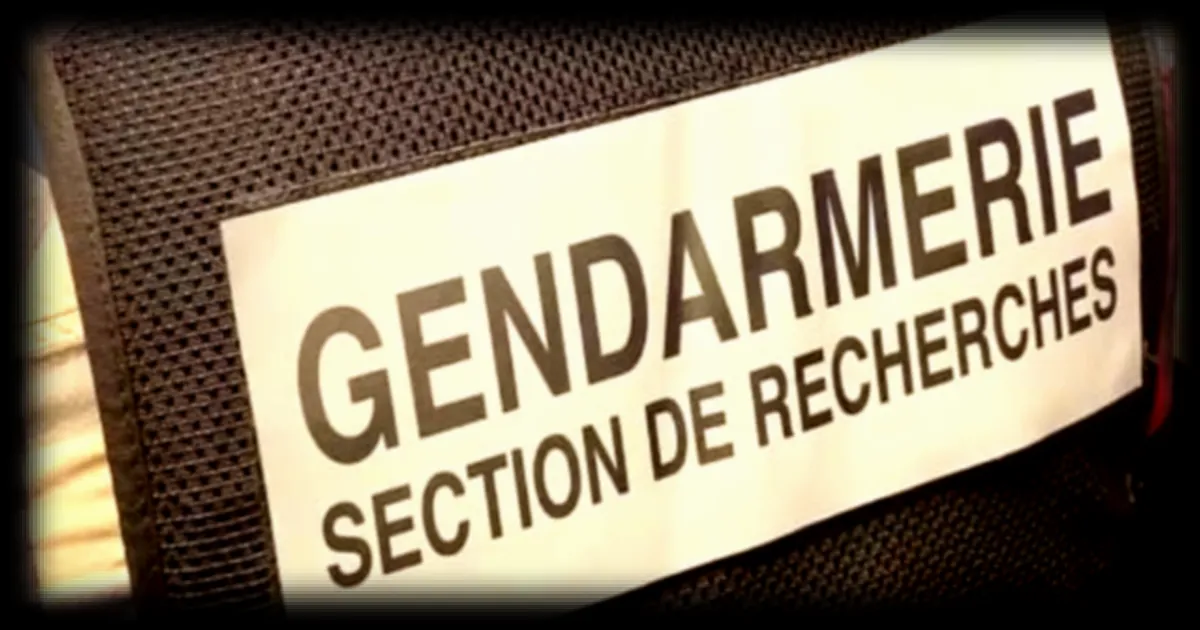 Coup de filet contre un réseau international de trafic de cocaïne et de blanchiment