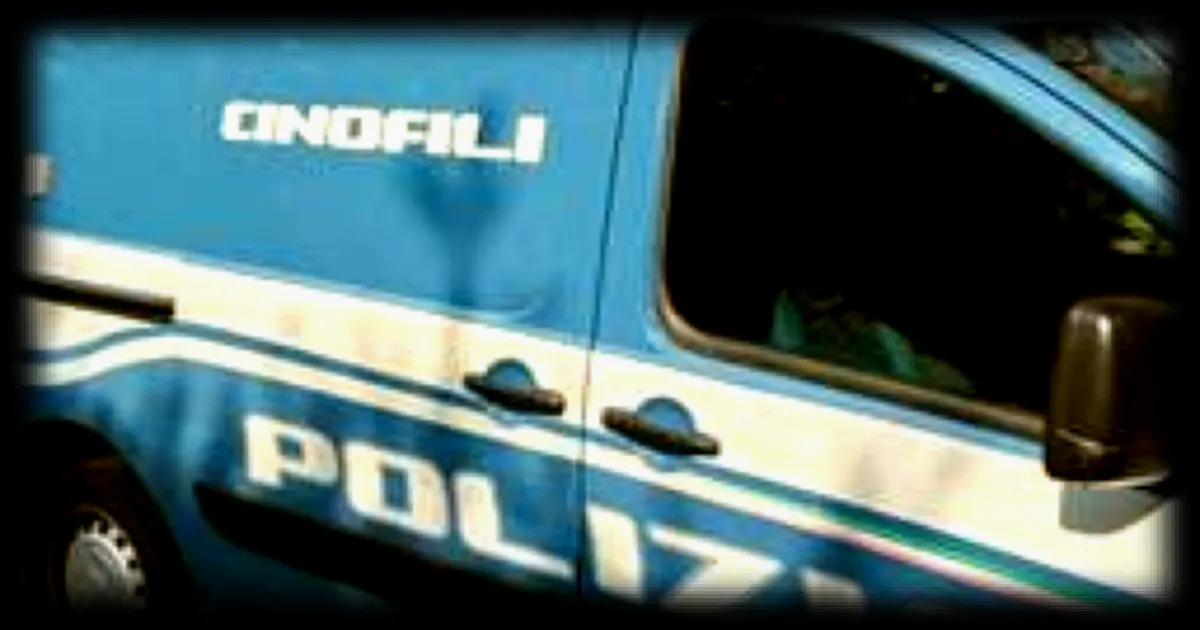 Course de chevaux clandestine en Sicile : deux poulains saisis et deux suspects interpellés