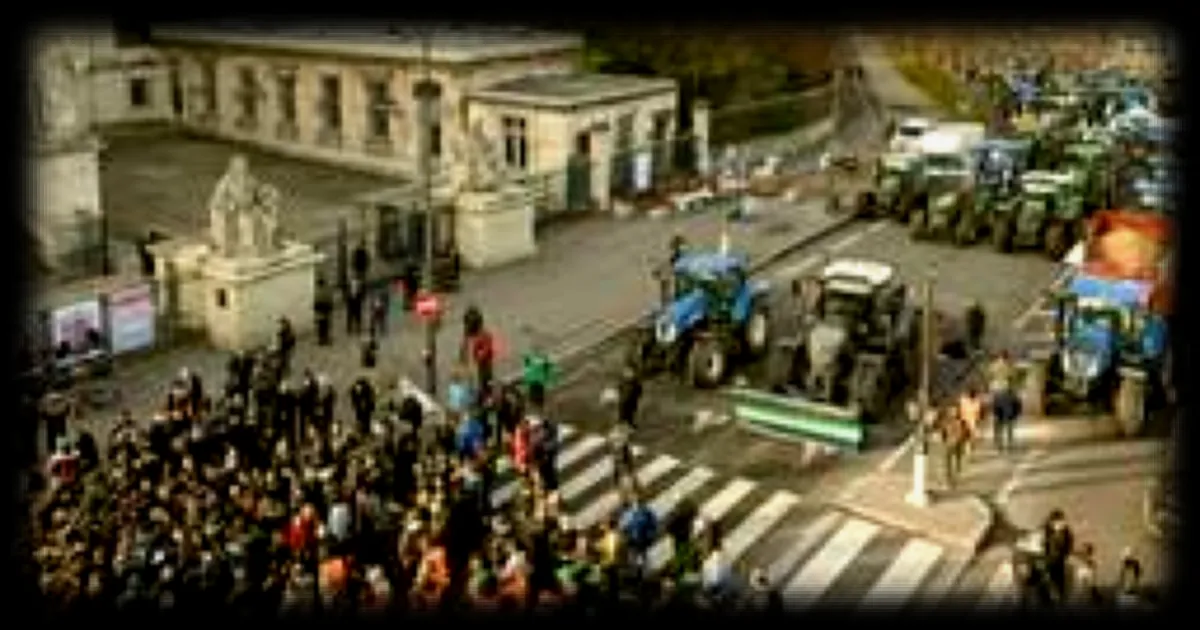 Crise agricole : les députés votent une nouvelle loi d'urgence, mais les précédents textes sont-ils appliqués ?