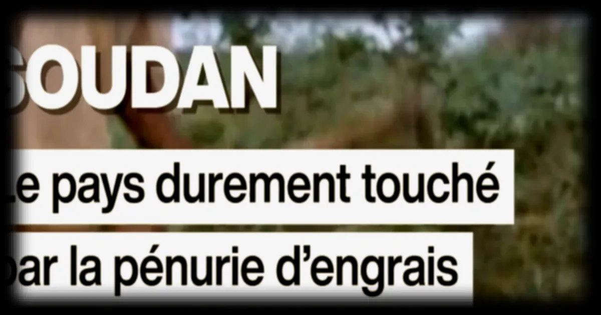 Crise des engrais au Soudan aggravée par les tensions au détroit d'Ormuz