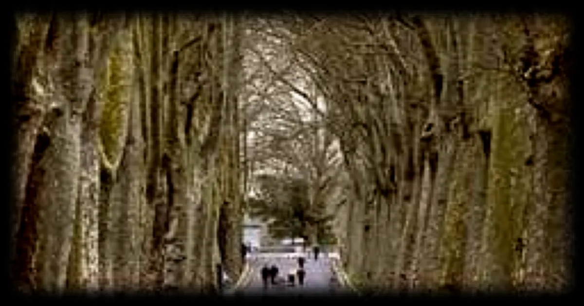 Crues et inondations : les routes coupées et les difficultés de circulation