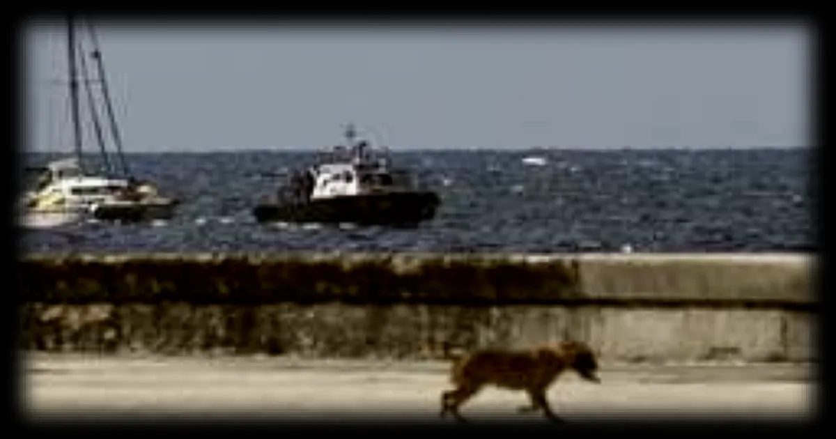 Cuba : un pétrolier russe sous sanctions attendu mardi, défiant le blocus américain