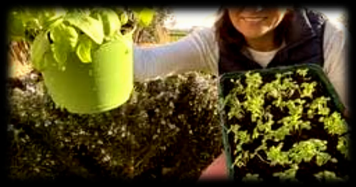 Culture des aromatiques : les conseils de l'experte Marion Ripaud