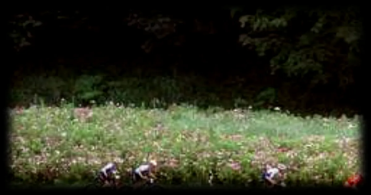 Cyclisme : deux coureuses proches d'être renversées par un véhicule de course lors de la Mid South