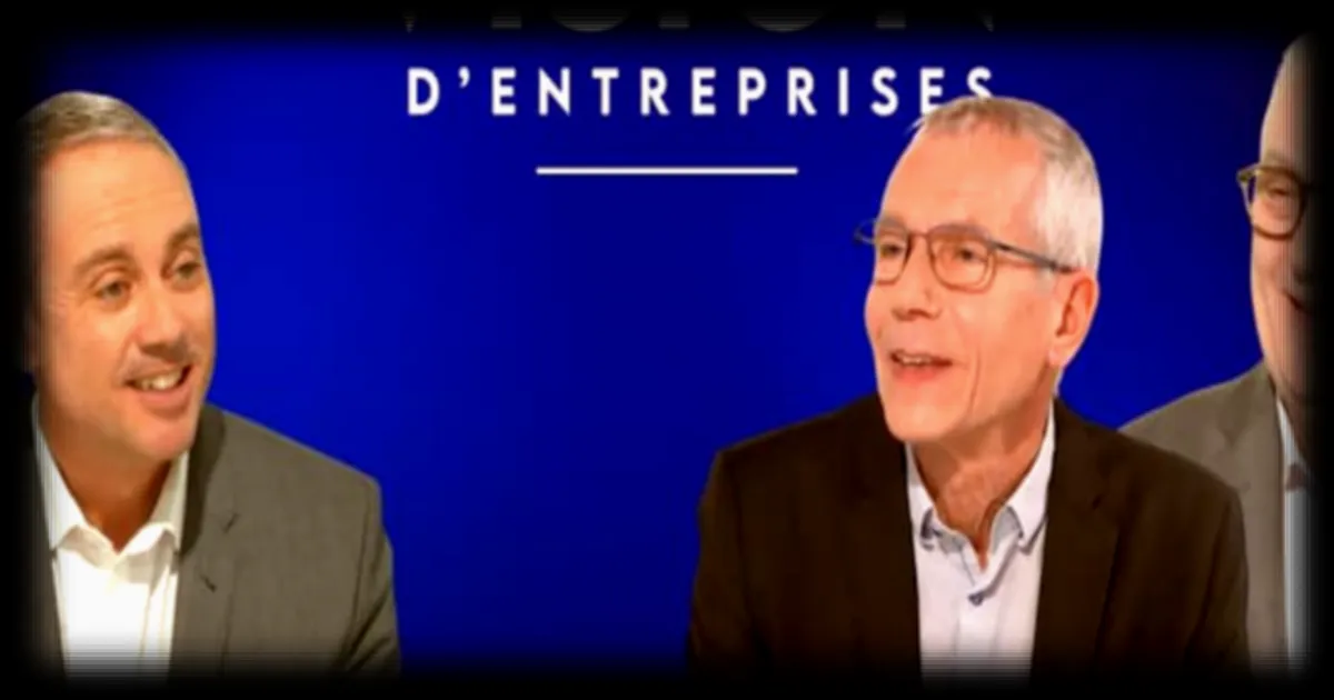 DALBE : Leader des arts créatifs avec plus de 50 ans d'expertise