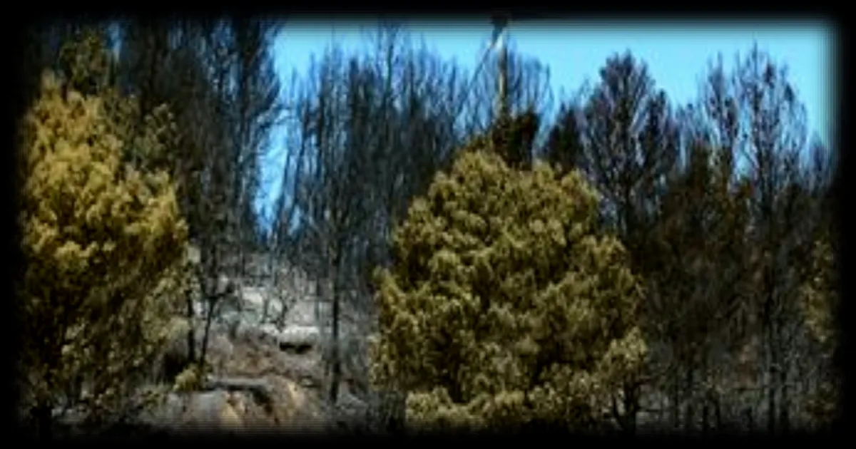 Dans l'Aude, des bénévoles en première ligne pour prévenir les incendies de forêt