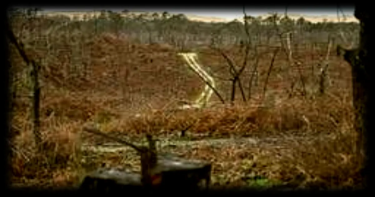 Dans le bassin d’Arcachon, les habitants sinistrés partagés entre espoir et résignation avant les municipales