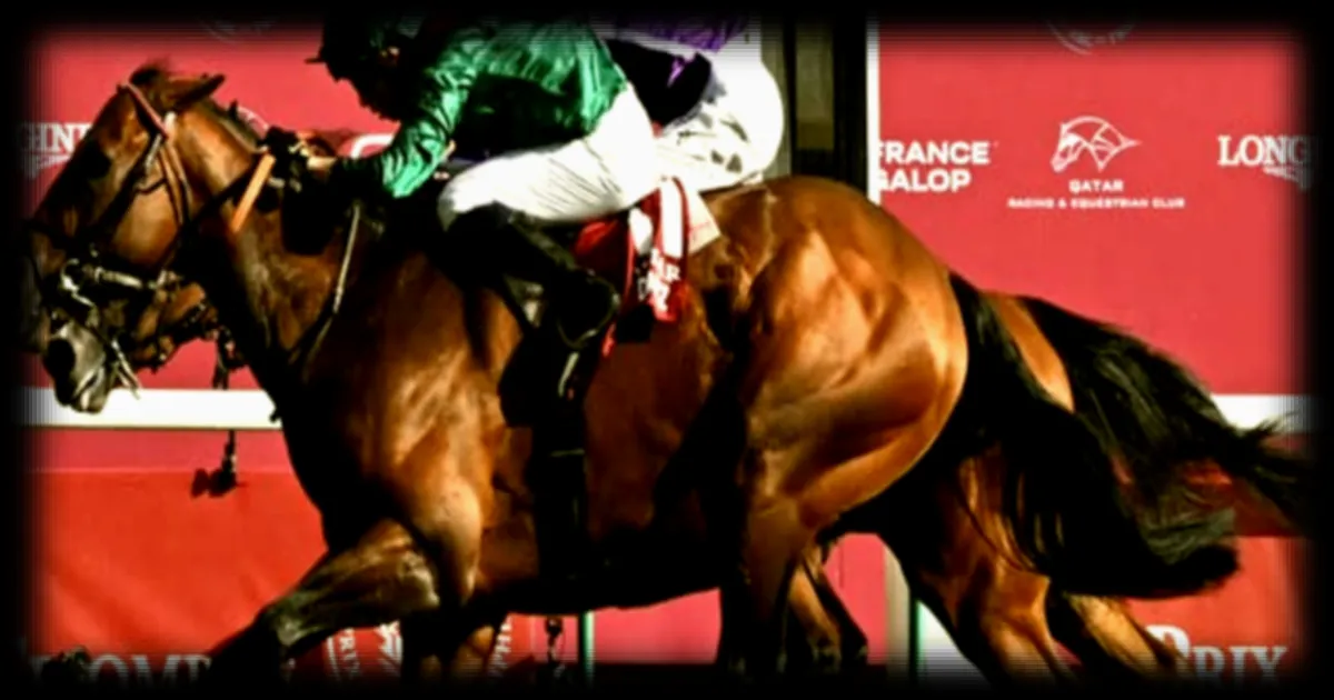 Daryz s'impose dans le Prix Ganay avant son départ pour l'Angleterre