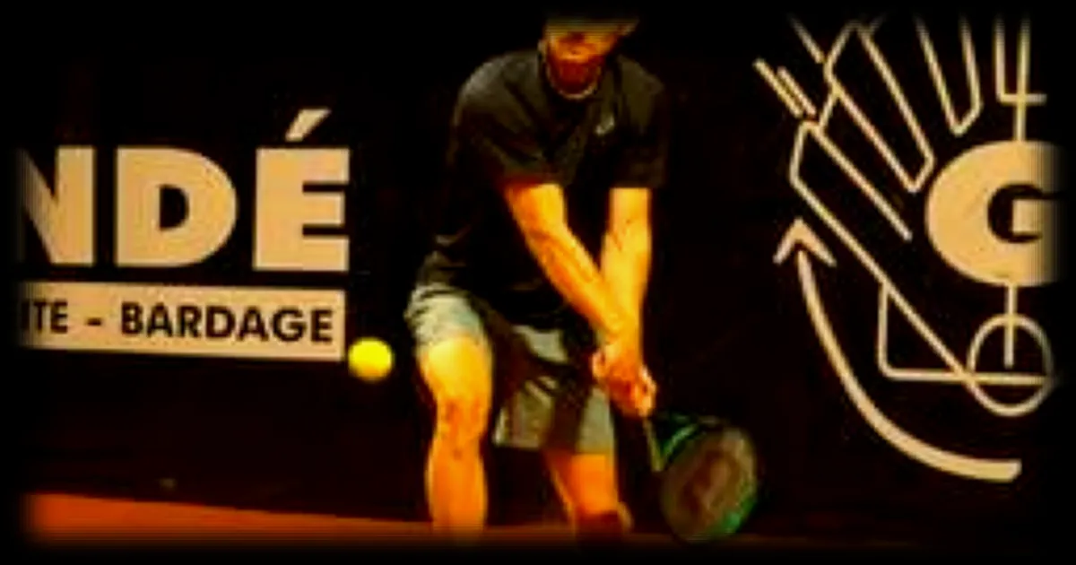 David Goffin se qualifie en finale de l'Open Guindé après un match renversant selon Ouest France