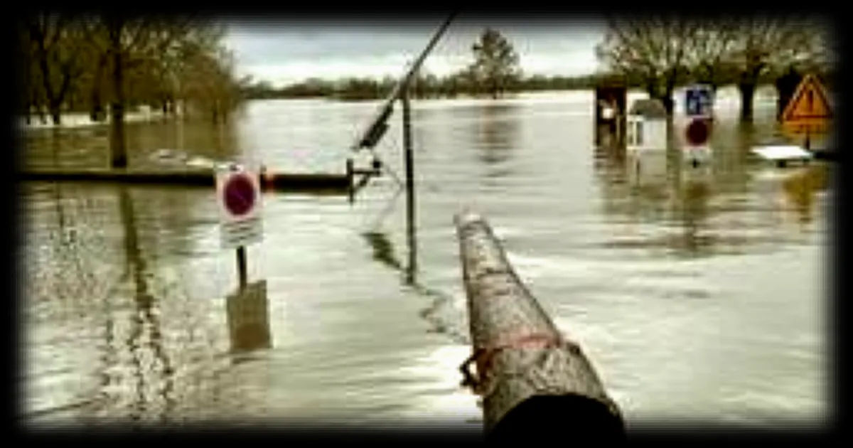 De gros troncs arrivés avec la crue inquiètent cette commune de Maine-et-Loire