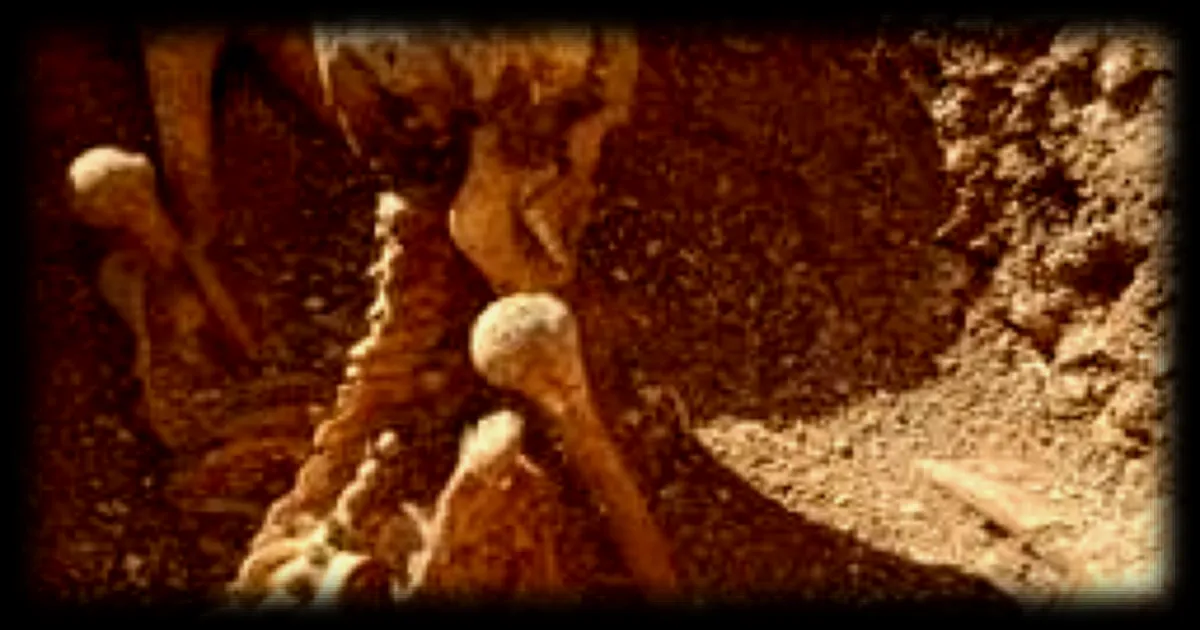 De nouveaux squelettes de Gaulois enterrés assis découverts à Dijon