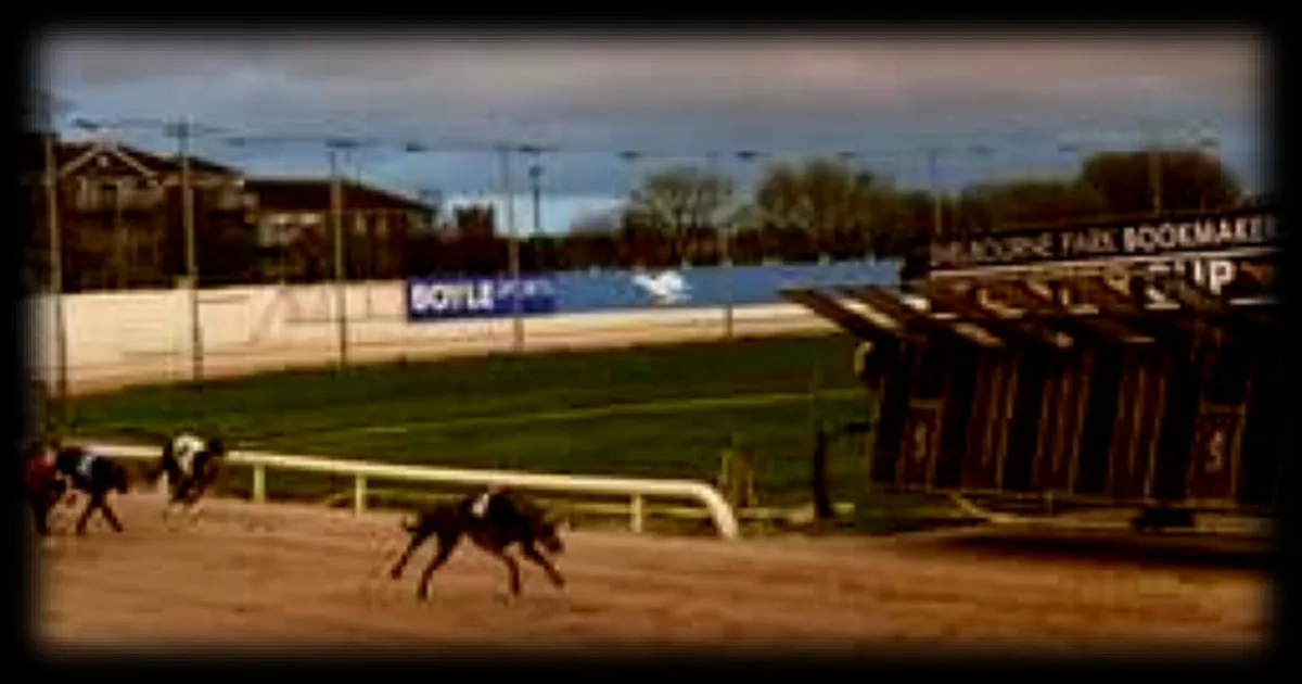 Débat en Irlande autour des courses de lévriers malgré les controverses : manifestations prévues à Dublin