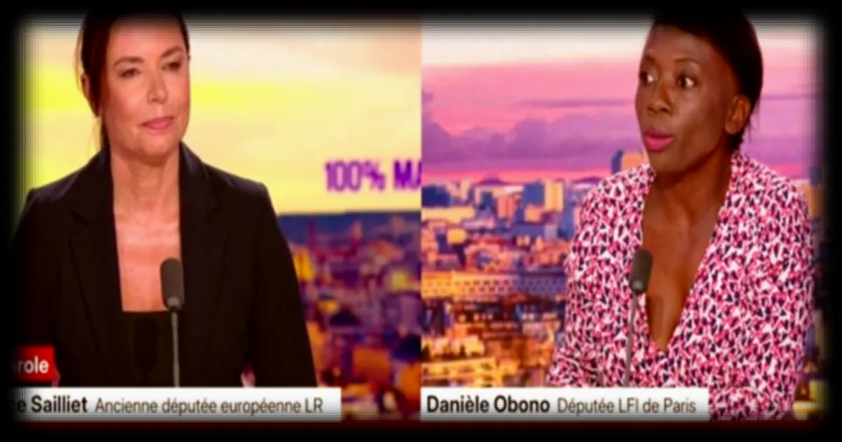 Débat sur la famille « traditionnelle » : Laurence Sailliet (LR) accuse LFI de vouloir « fracturer la société »