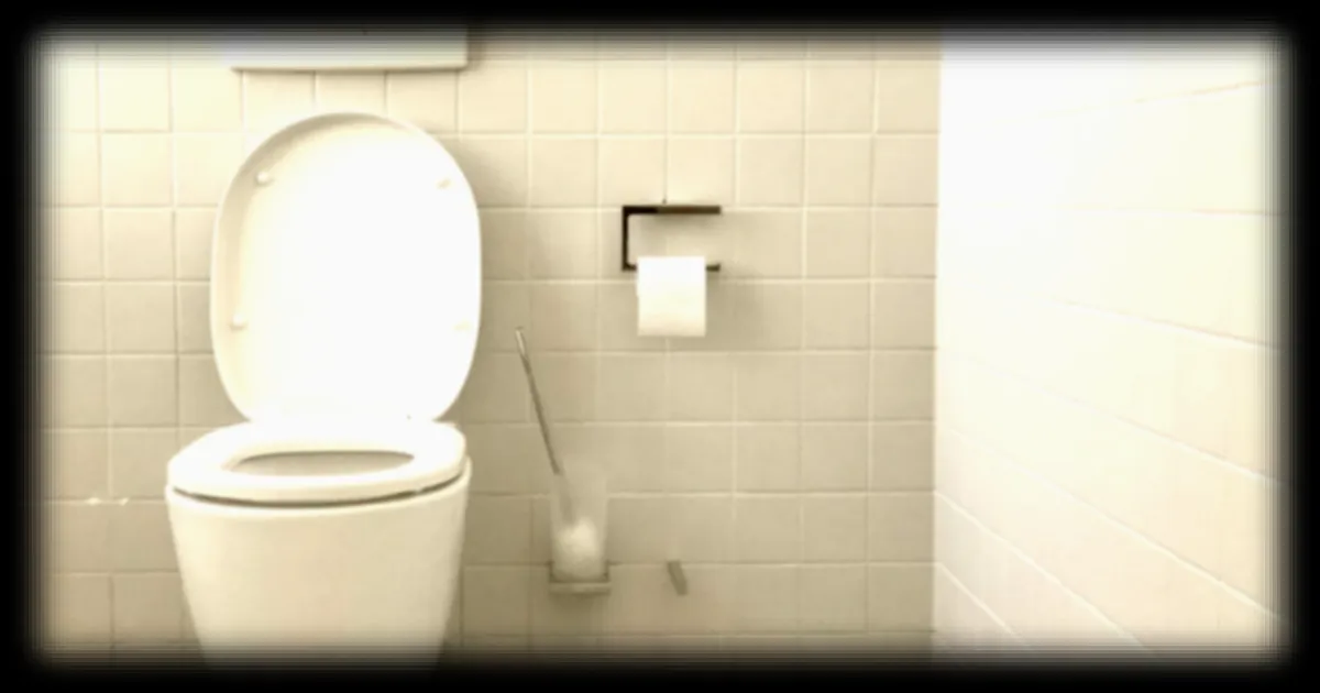 Décès aux toilettes : six causes insolites et parfois évitables