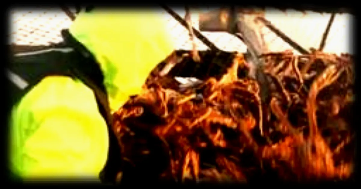 Décès d'un participant de « Péril en haute mer » : les faits