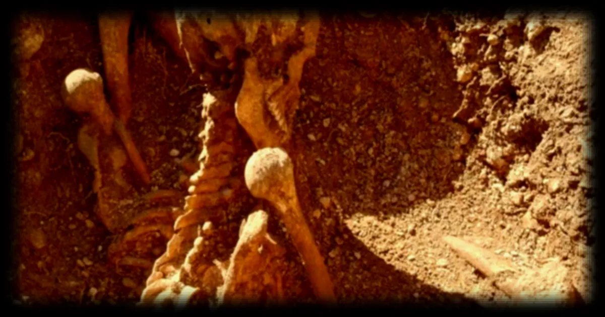 Découverte archéologique à Dijon : les Gaulois enterrés dans une posture étrange