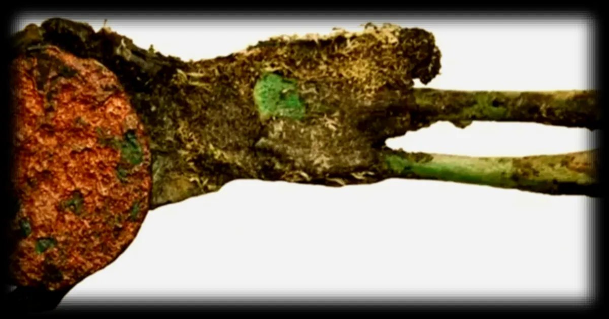 Découverte archéologique en Hongrie : une main de nourrisson momifiée intrigue les scientifiques