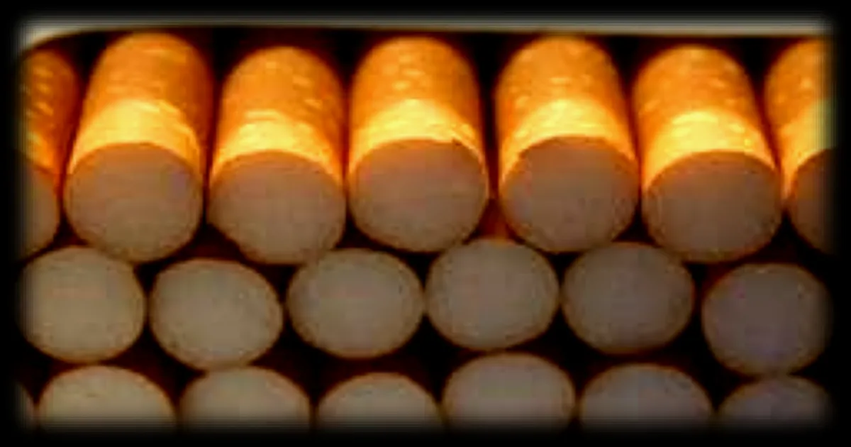 Découverte de sept tonnes de cigarettes de contrebande à Sainte-Maxime