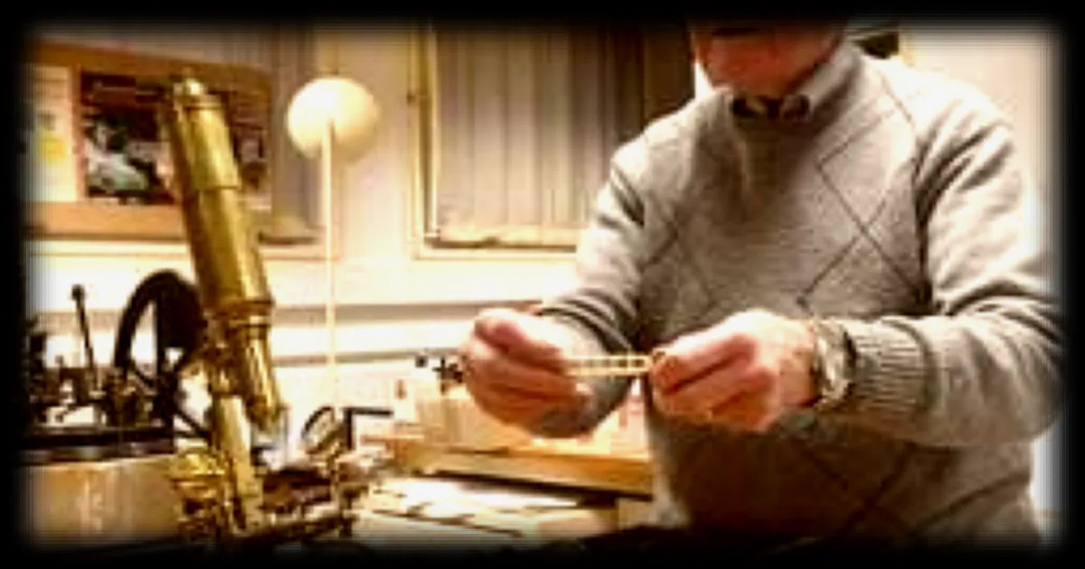 Découverte d'un Cabinet de Curiosités à l'Université Catholique de l'Ouest