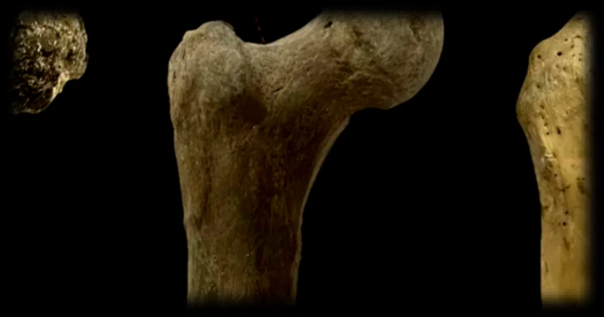 Découverte d'un fossile balkanique qui remet en question les origines de l'Homme